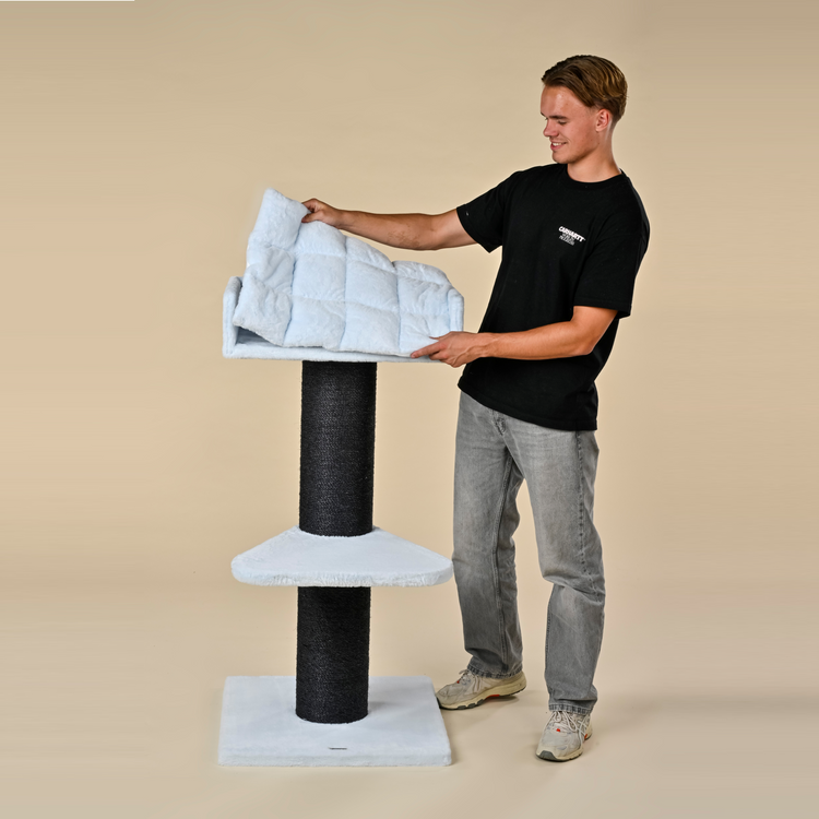 Krabpaal Maine Coon Lounge Blackline (Blauw Teddy)