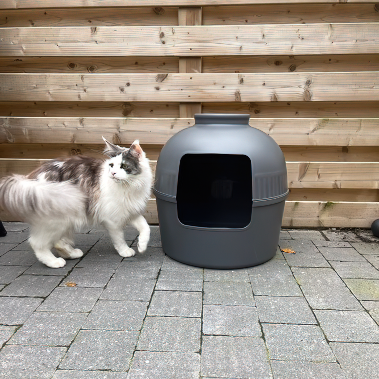 Lettiera Per Gatti Flower XXL Blackline - Nascosta, Con Cuscino, Antracite, Per Gatti Grandi - Foto 1