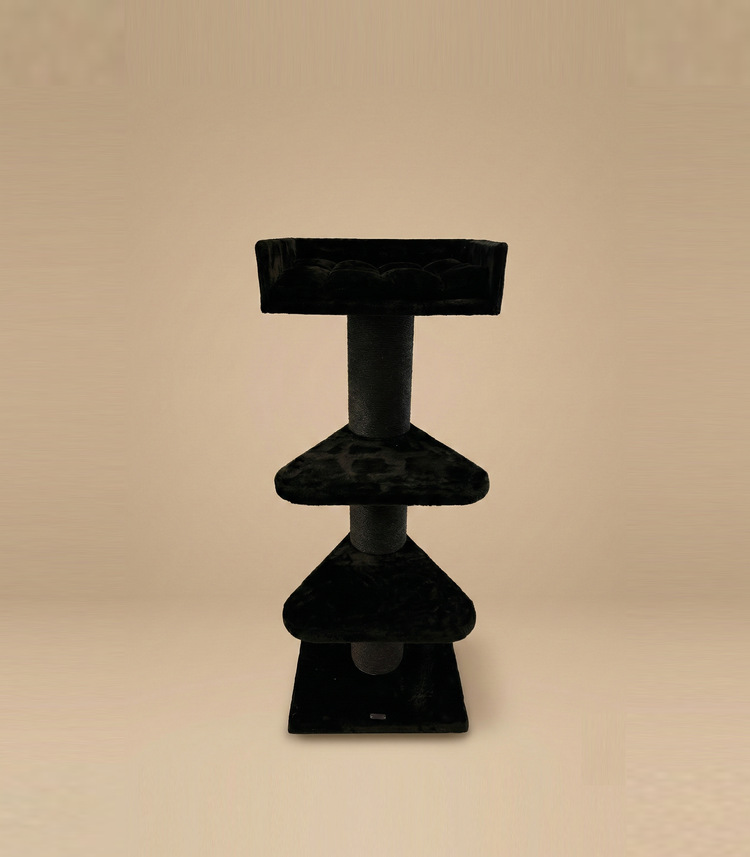 Krabpaal Royalty Blackline (Black Teddy)