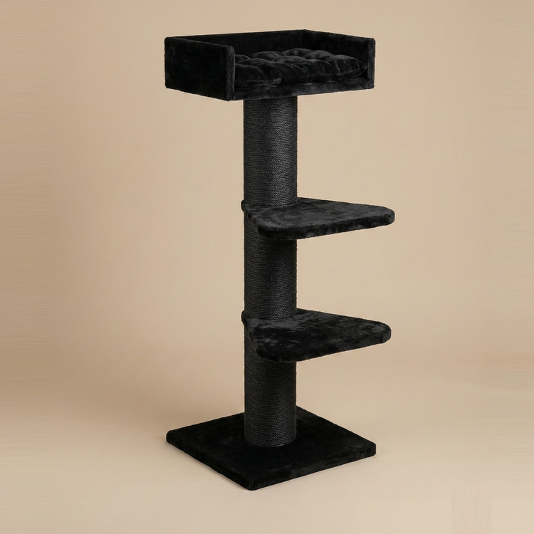 Krabpaal Royalty Blackline (Black Teddy)