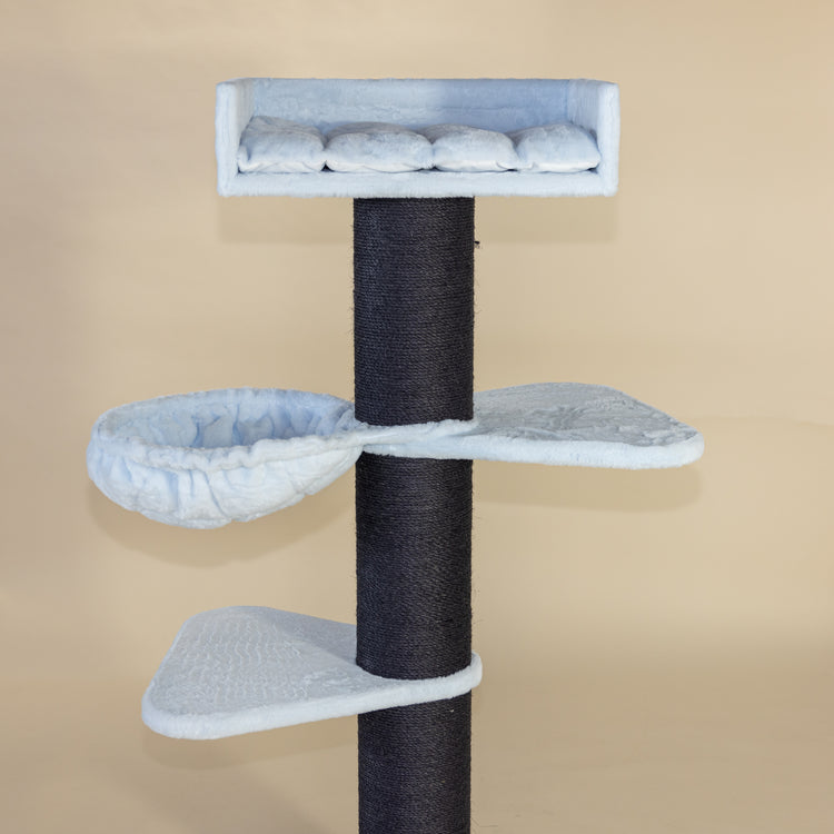 Krabpaal Royalty Blackline Plus (Blauw Teddy)