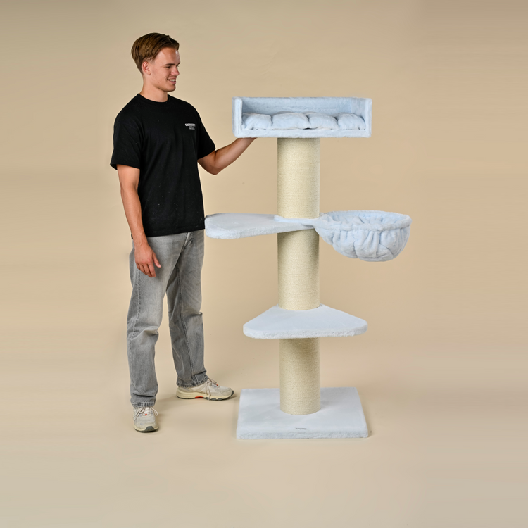 Krabpaal Royalty Plus (Blauw Teddy)