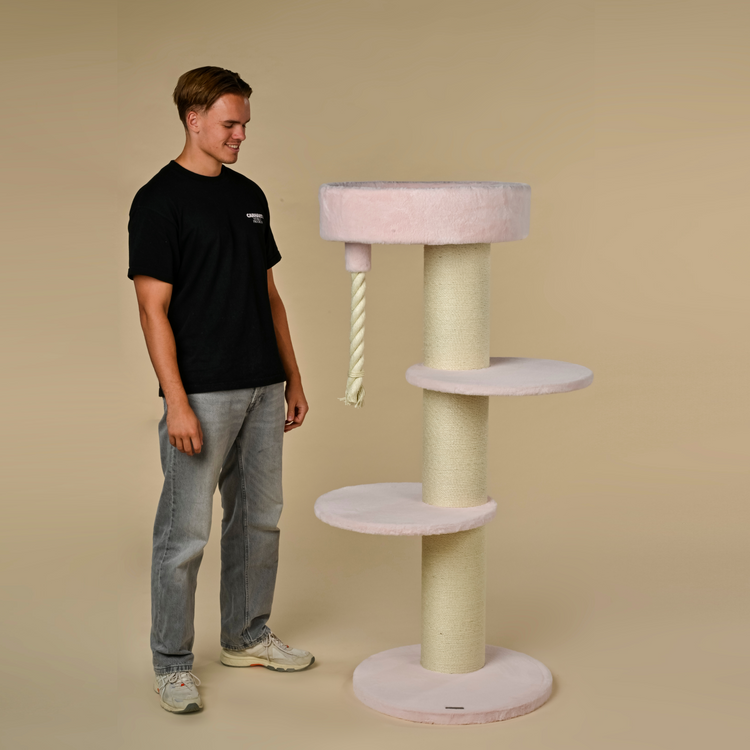 Krabpaal Maine Coon Sleeper (Pink Teddy)