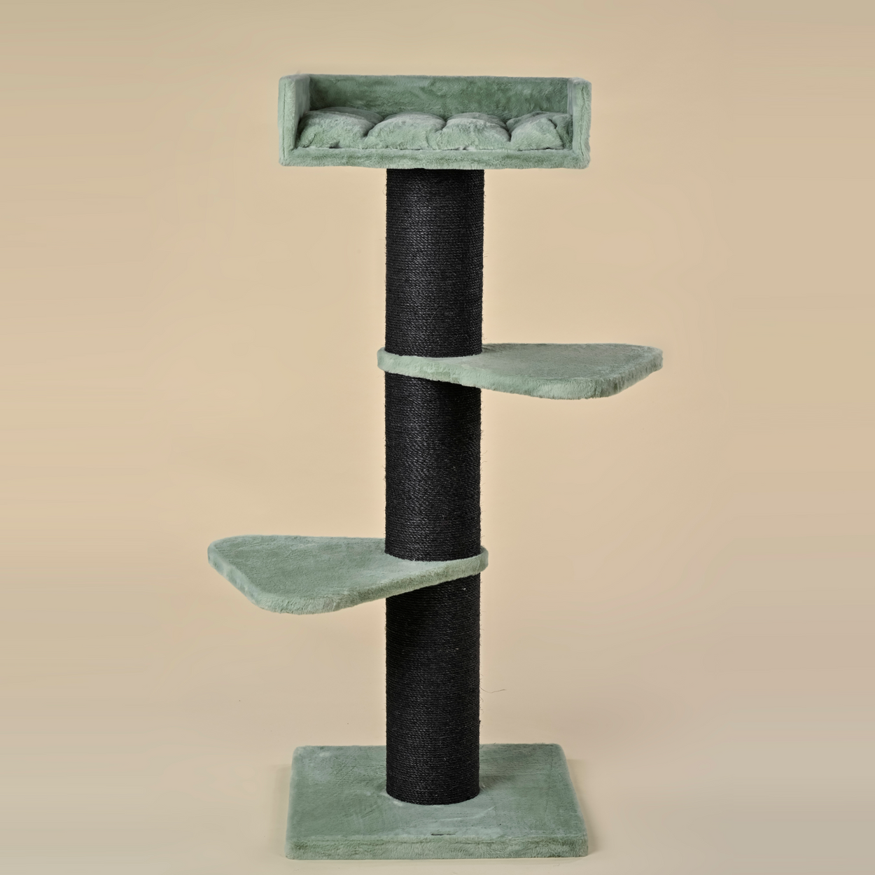 Krabpaal Royalty Blackline (Pistache Teddy)