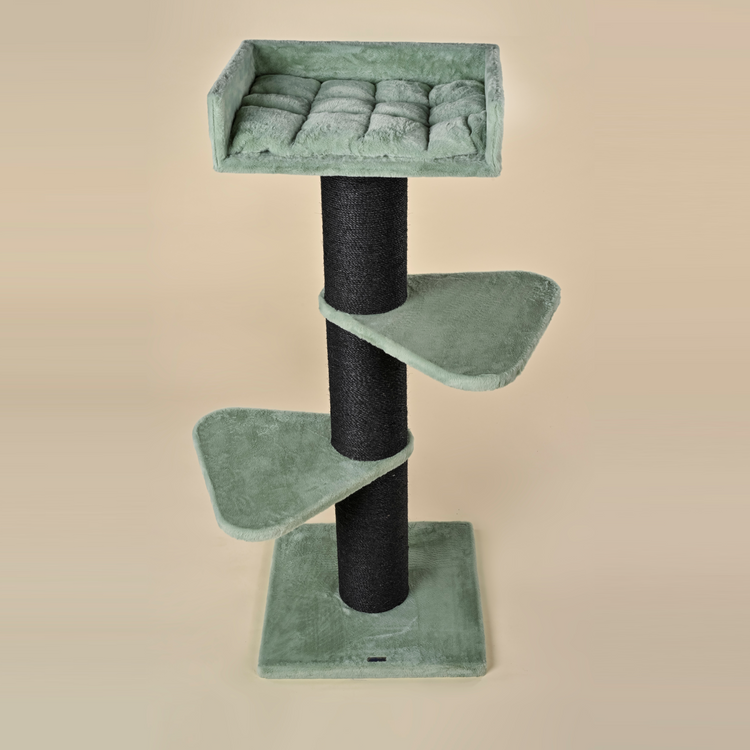 Krabpaal Royalty Blackline (Pistache Teddy)