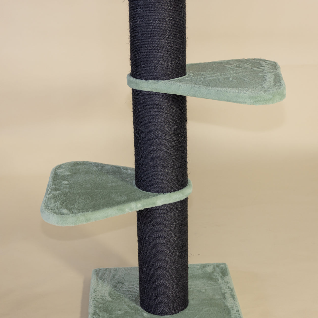 Krabpaal Royalty Blackline (Pistache Teddy)