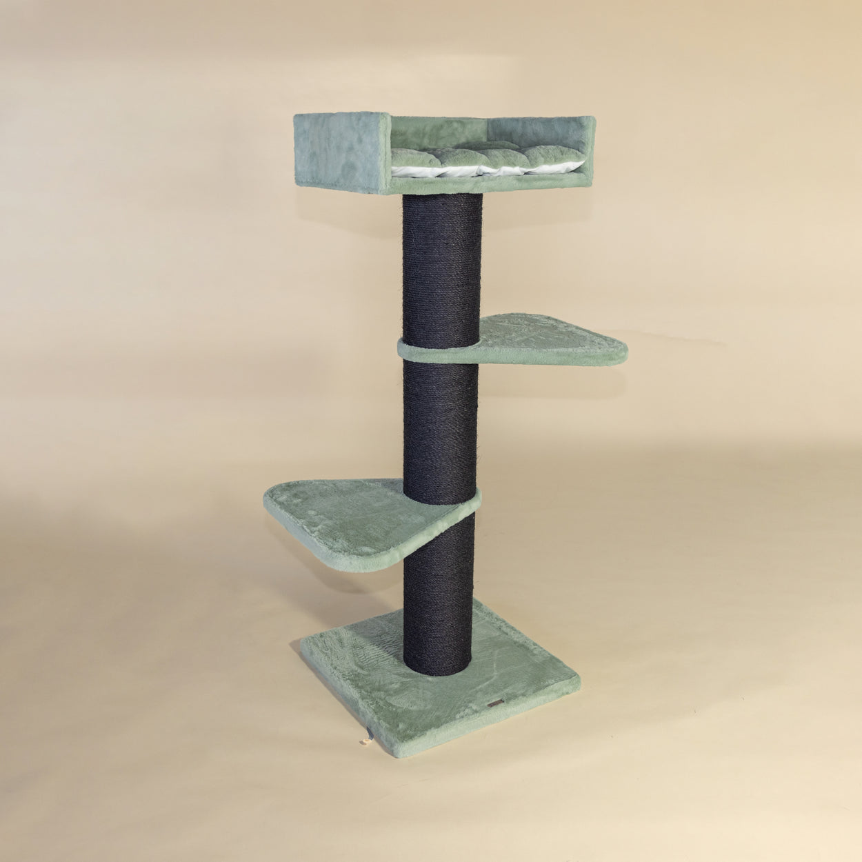 Krabpaal Royalty Blackline (Pistache Teddy)