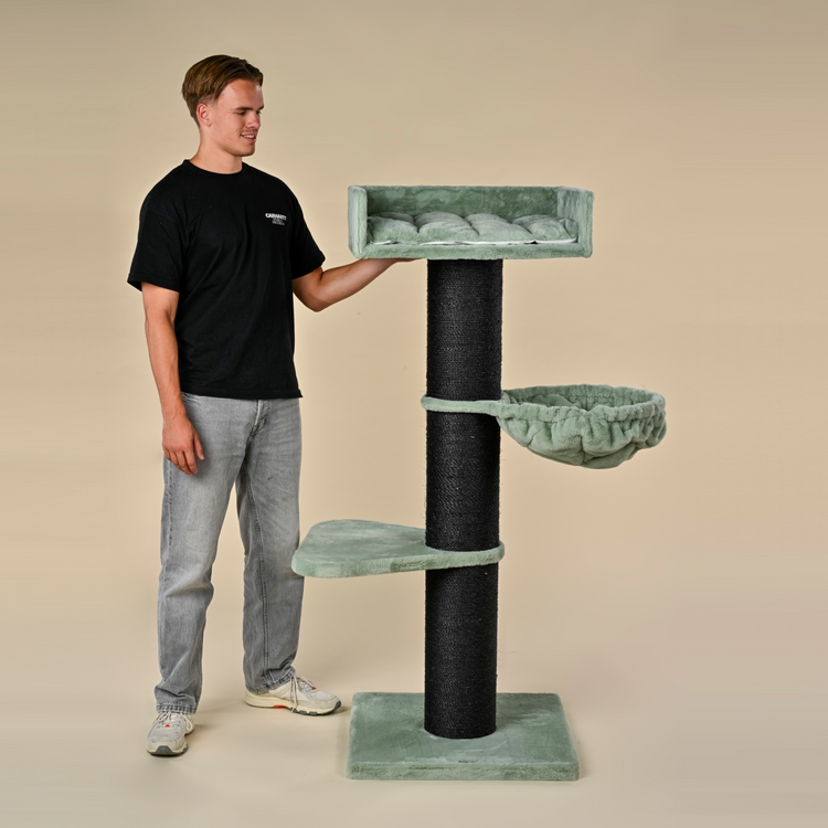 Krabpaal Royalty Blackline de Luxe (Pistache Teddy)