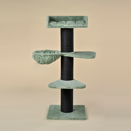 Krabpaal Royalty Blackline Plus (Pistache Teddy)