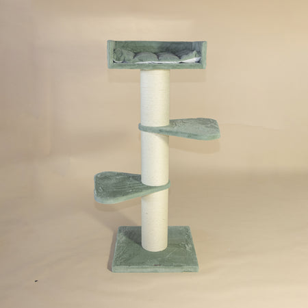 Krabpaal Royalty (Pistache Teddy)