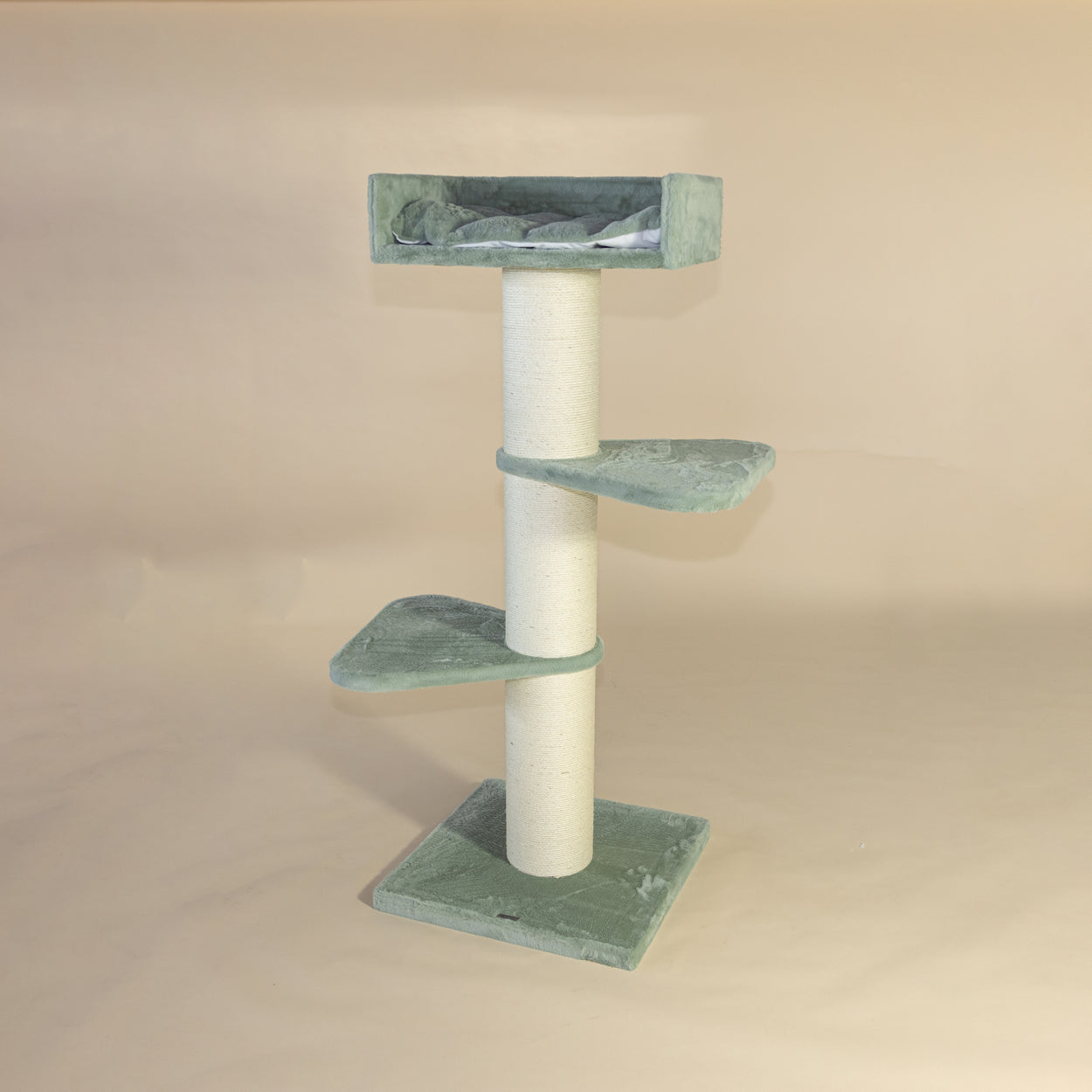 Krabpaal Royalty (Pistache Teddy)