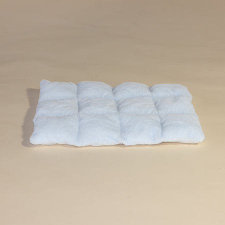 Blue Teddy Kussen, voor de Lounge Ligplaats