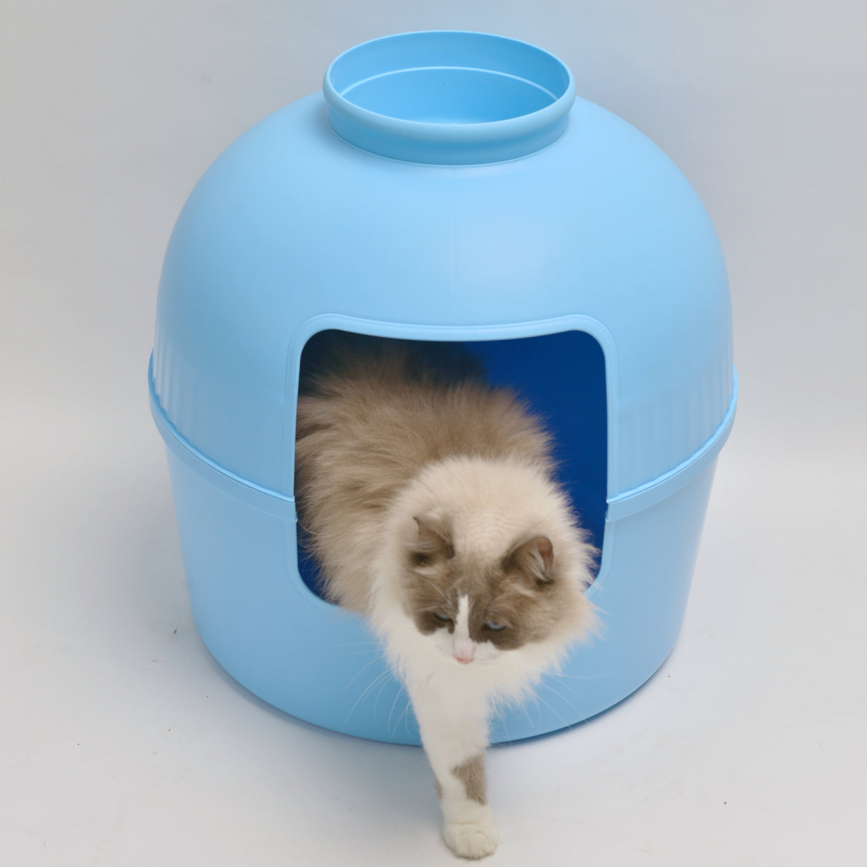 Kattenbak Flower XXL, verborgen kattentoilet (Fris Blauw) - 51Ø x 55cm