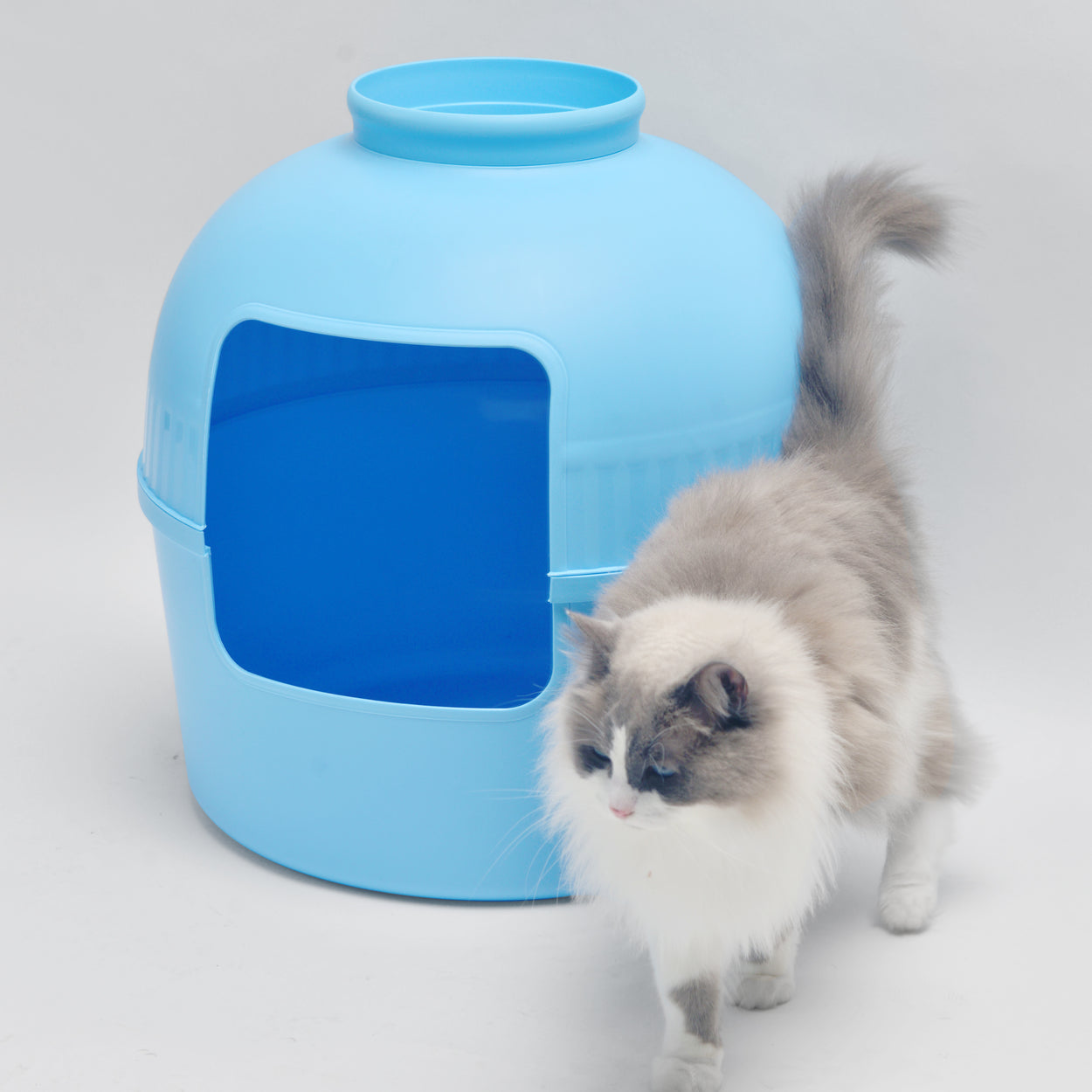 Kattenbak Flower XXL, verborgen kattentoilet (Fris Blauw) - 51Ø x 55cm