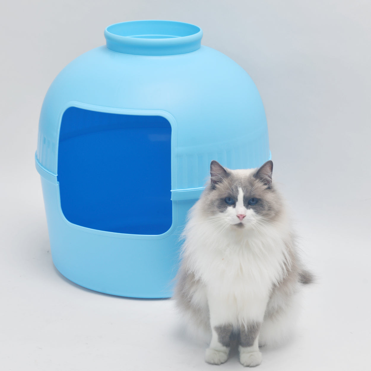 Kattenbak Flower XXL, verborgen kattentoilet (Fris Blauw) - 51Ø x 55cm