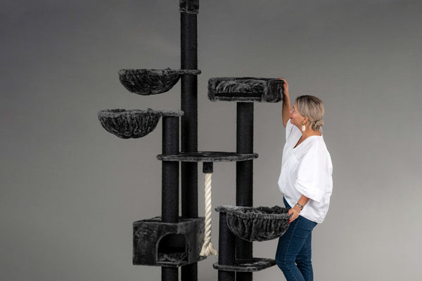 Ανταλλακτικά για το Ξυστράκι για γάτες Cat Dream