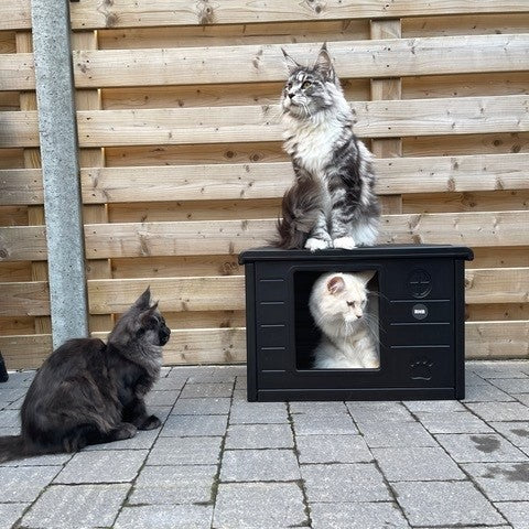 Kattenhuis Villa de Luxe voor binnen en buiten (Blackline)