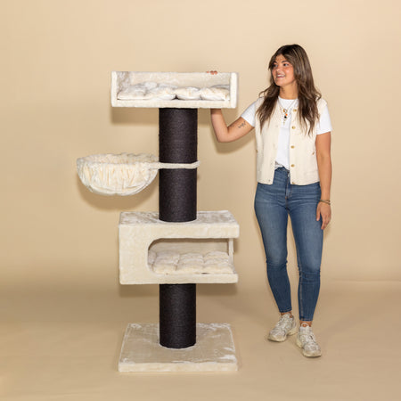 Royalty Retreat Blackline (Crème)