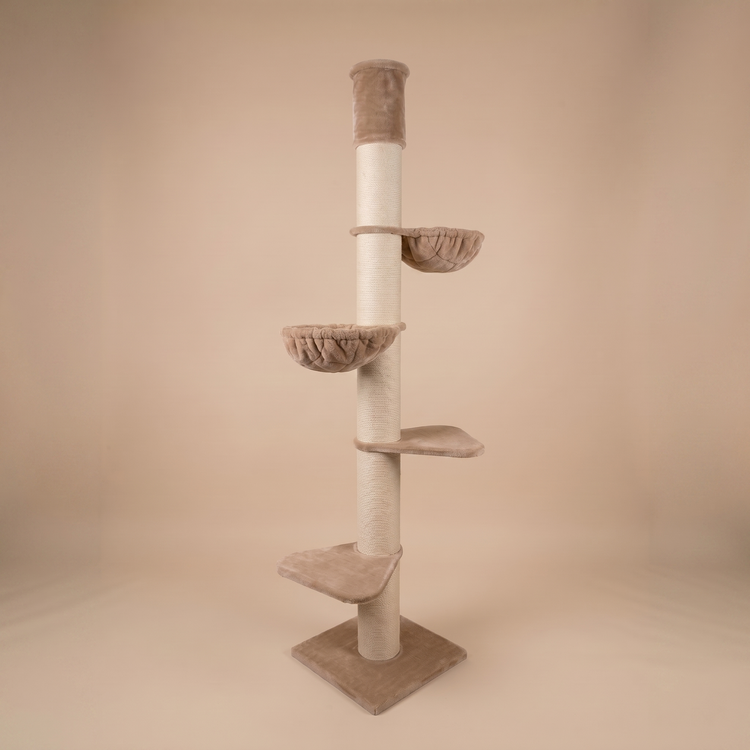 Katträd Maine Coon Tower (Cappuccino) 235-255 cm
