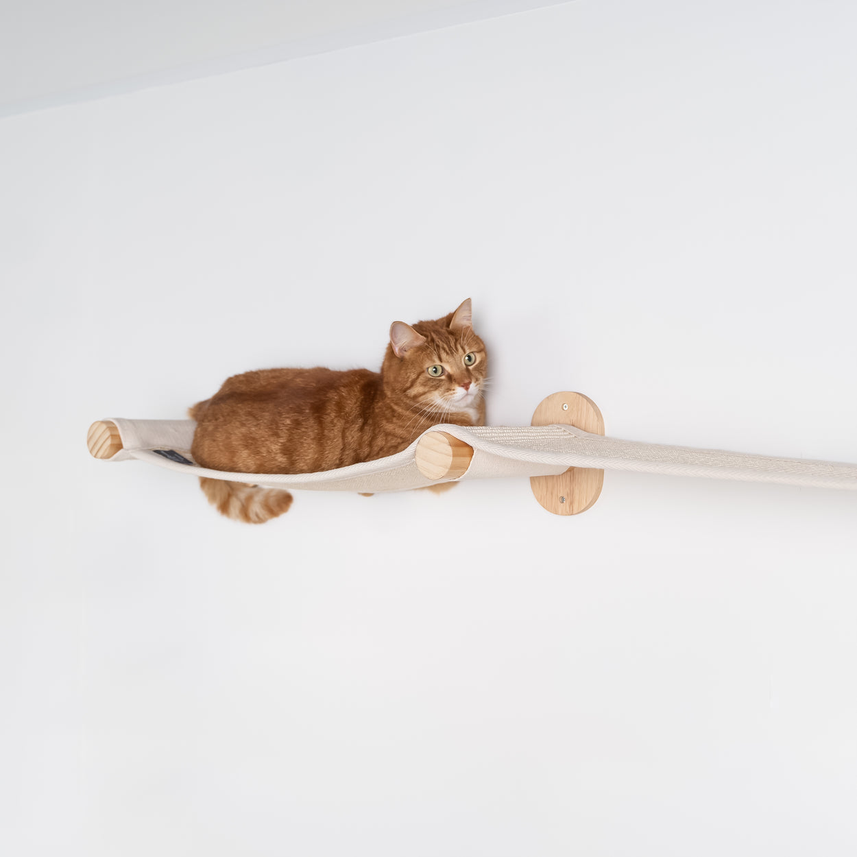 Set Attività Gatto Parete Arrampicata Per Gatti Maxi-Pet Mount Everest - Set Da 9 Pezzi In Sisal E Tessuto, Colore Beige Set Arrampicata
