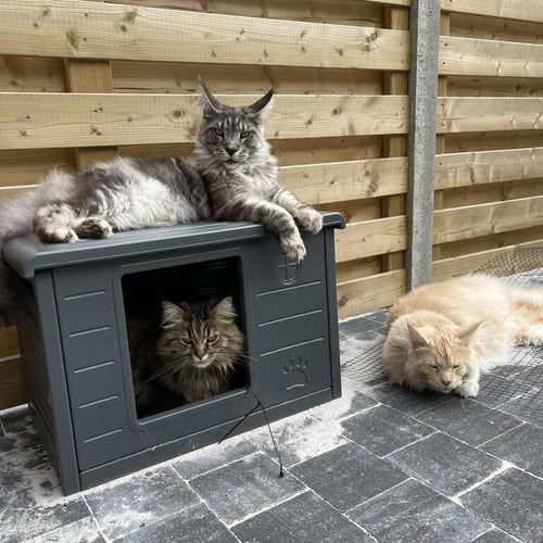 Kattenhuis Villa de Luxe voor binnen en buiten (Donkergrijs)