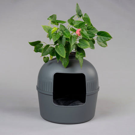 Kattenbak Flower XXL, verborgen kattentoilet (Antraciet)