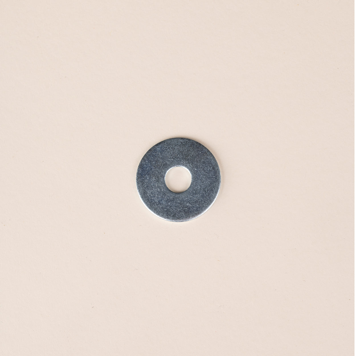 Schroevenset Devon Rex