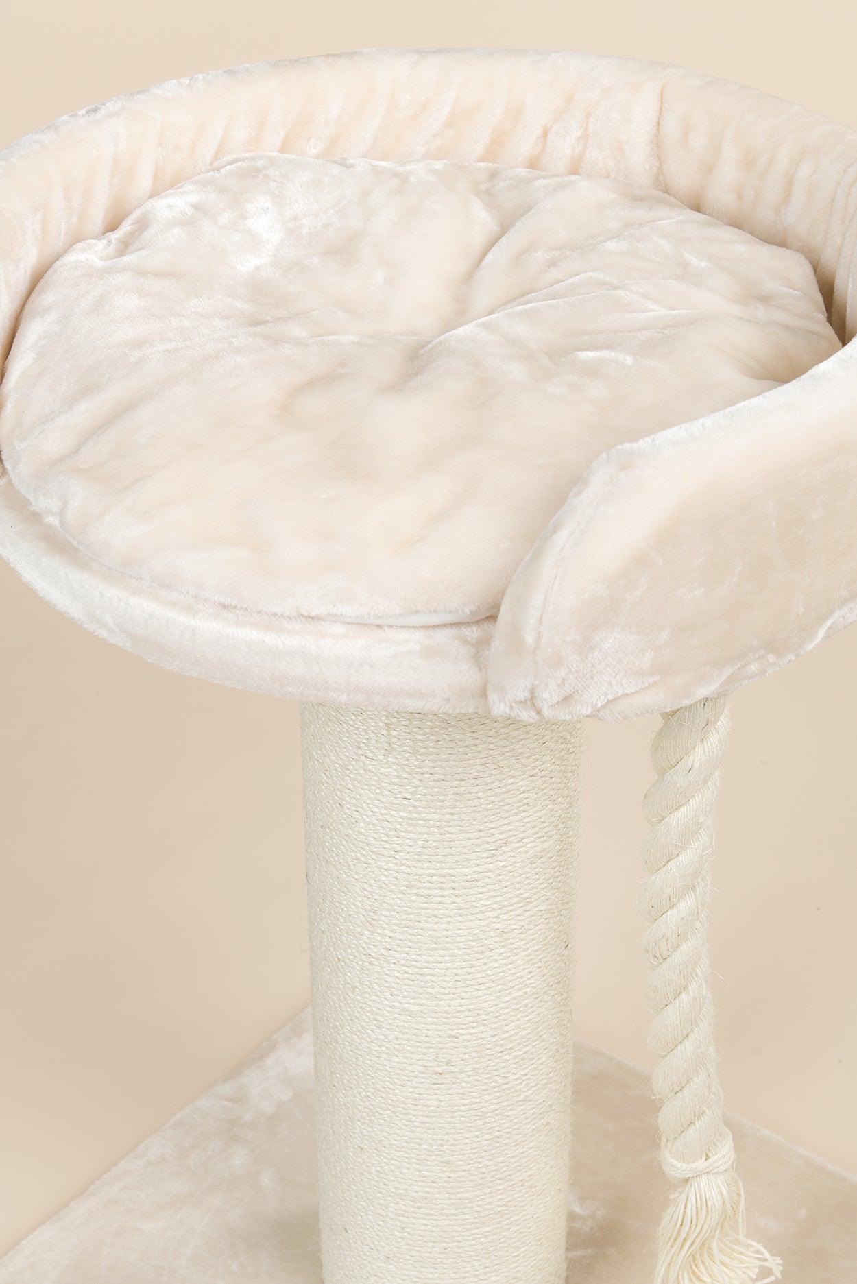 Krabpaal Chartreux (Crème)