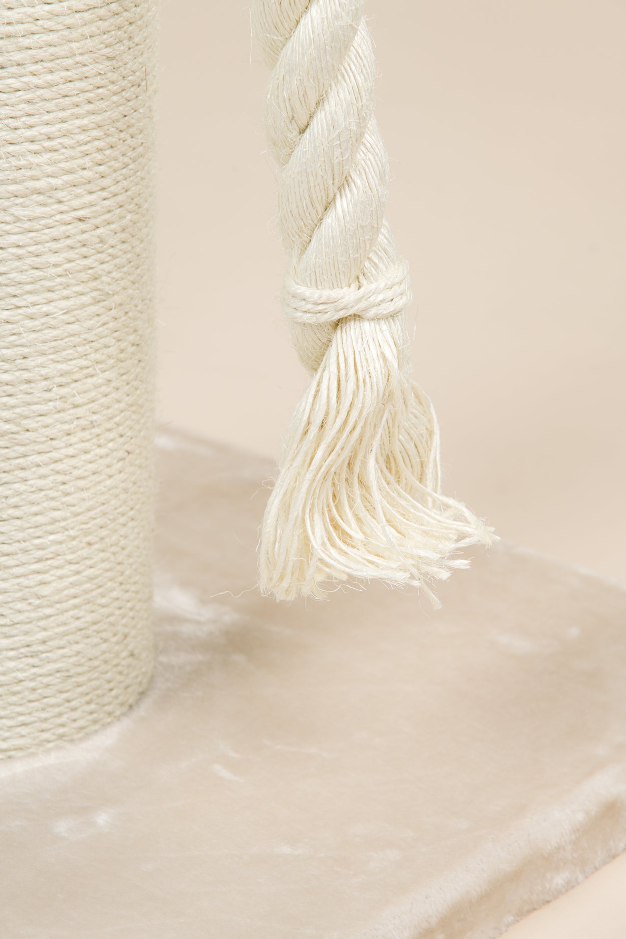 Krabpaal Chartreux (Crème)