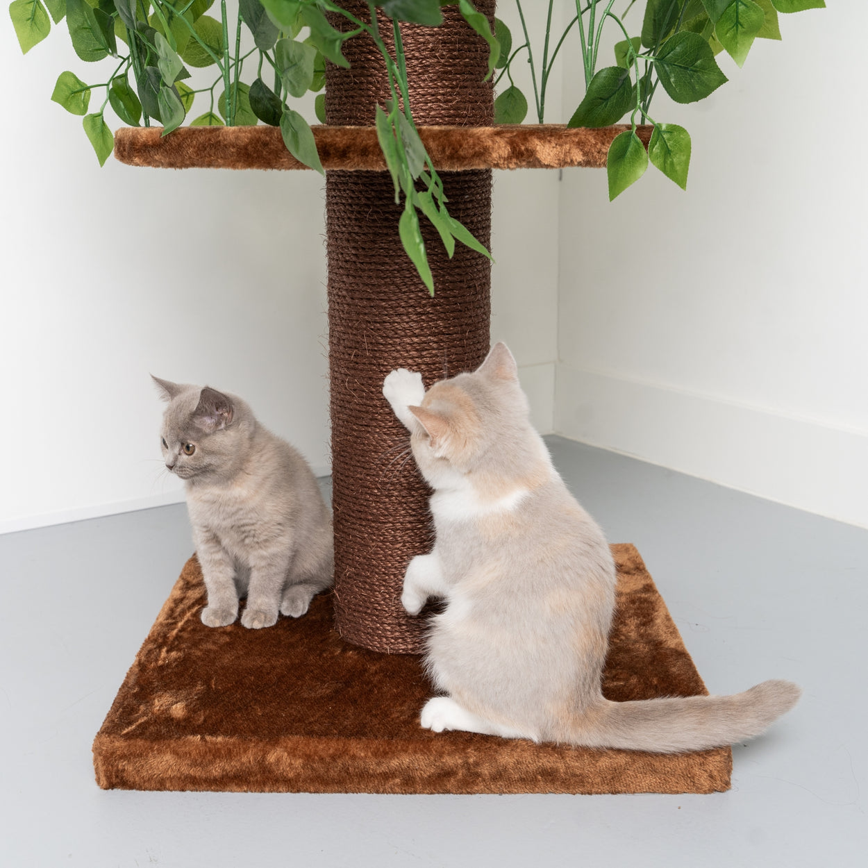 Cat Tree Design Natural Leaves (Brown) - Main Image