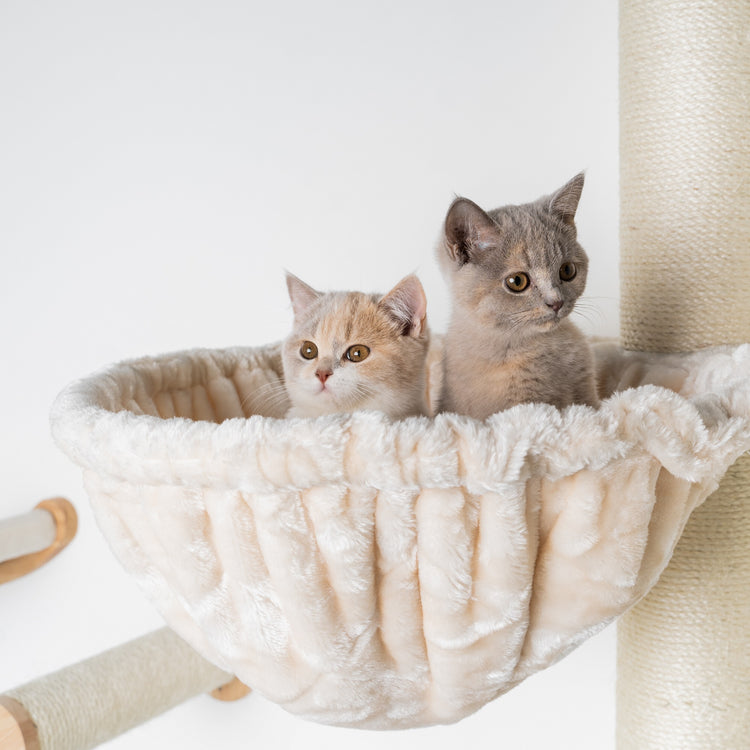 Pawhut Kattenboom Krabpaal Kattenmeubel, Activity Center Klimrek Pluche Grijs D30 318 Pawhut Kattenboom Krabpaal Kattenmeubel, Activity Center Klimrek Pluche Grijs D30 318