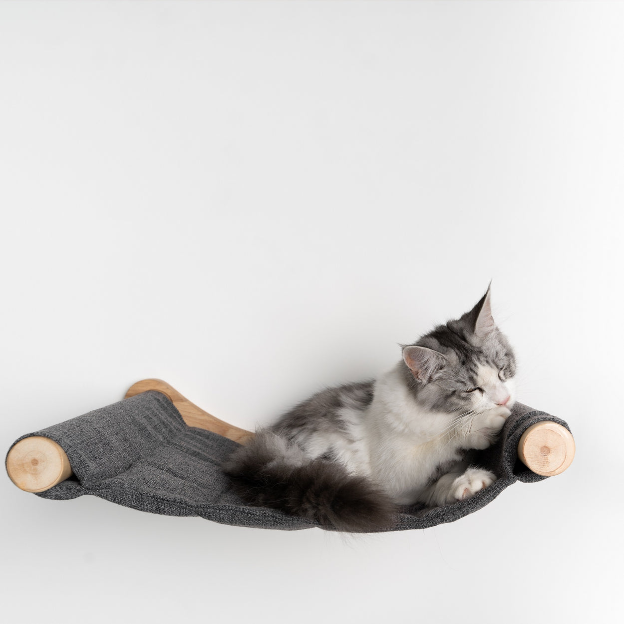 pecute Raambed voor katten, universeel wandmeubel met afneembaar vilten pecute Raambed voor katten, universeel wandmeubel met afneembaar vilten