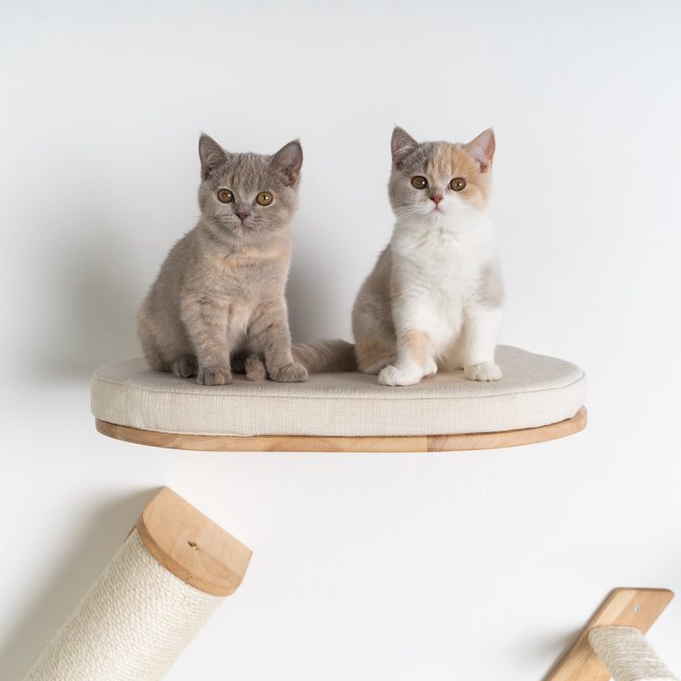 Wandmeubel Klimmuur Kat - Luxe Kattenbed (Crème)