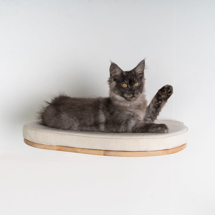 Wandmeubel Klimmuur Kat - Luxe Kattenbed (Crème)