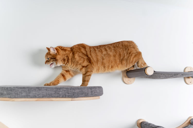 Wandmeubel Klimmuur Kat - Ladder Set (Crème Wandmeubel Klimmuur Kat - Ladder Set (Crème
